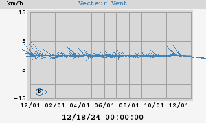 Wind Vector